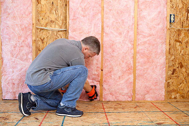 Best Types of Insulation in , CA