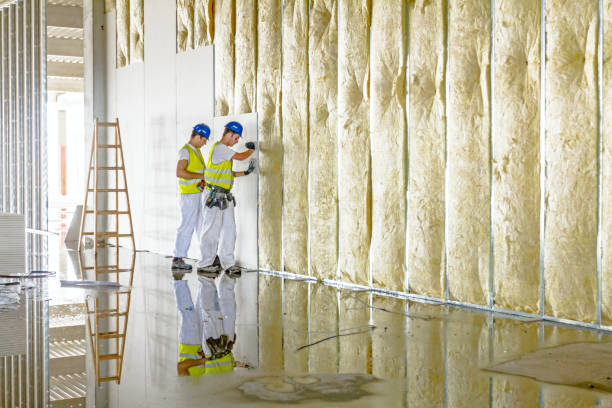 Best Insulation Materials and Products in , CA
